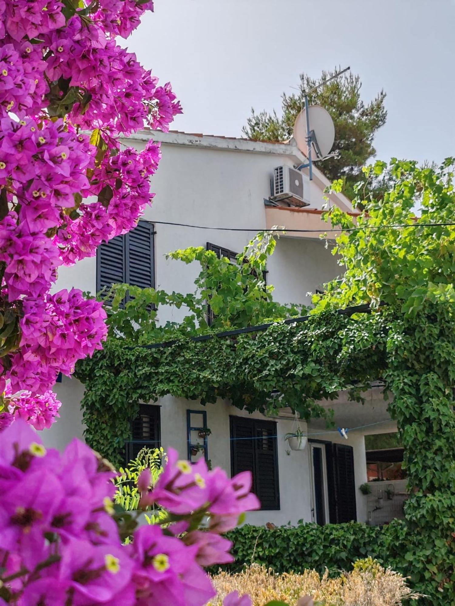 Apartments Markotic クレック エクステリア 写真